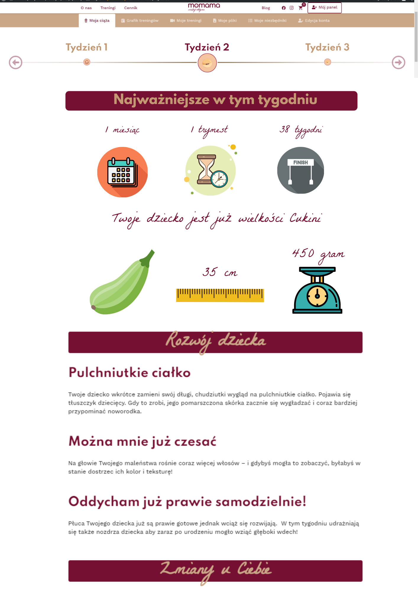 Panel tygodnia ciąży w platformie Momama