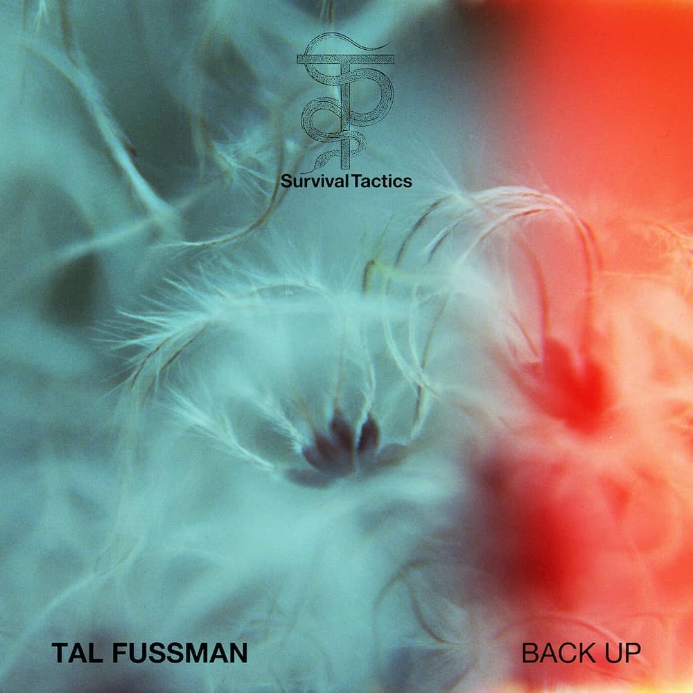 Tal Fussman Back Up — okładka