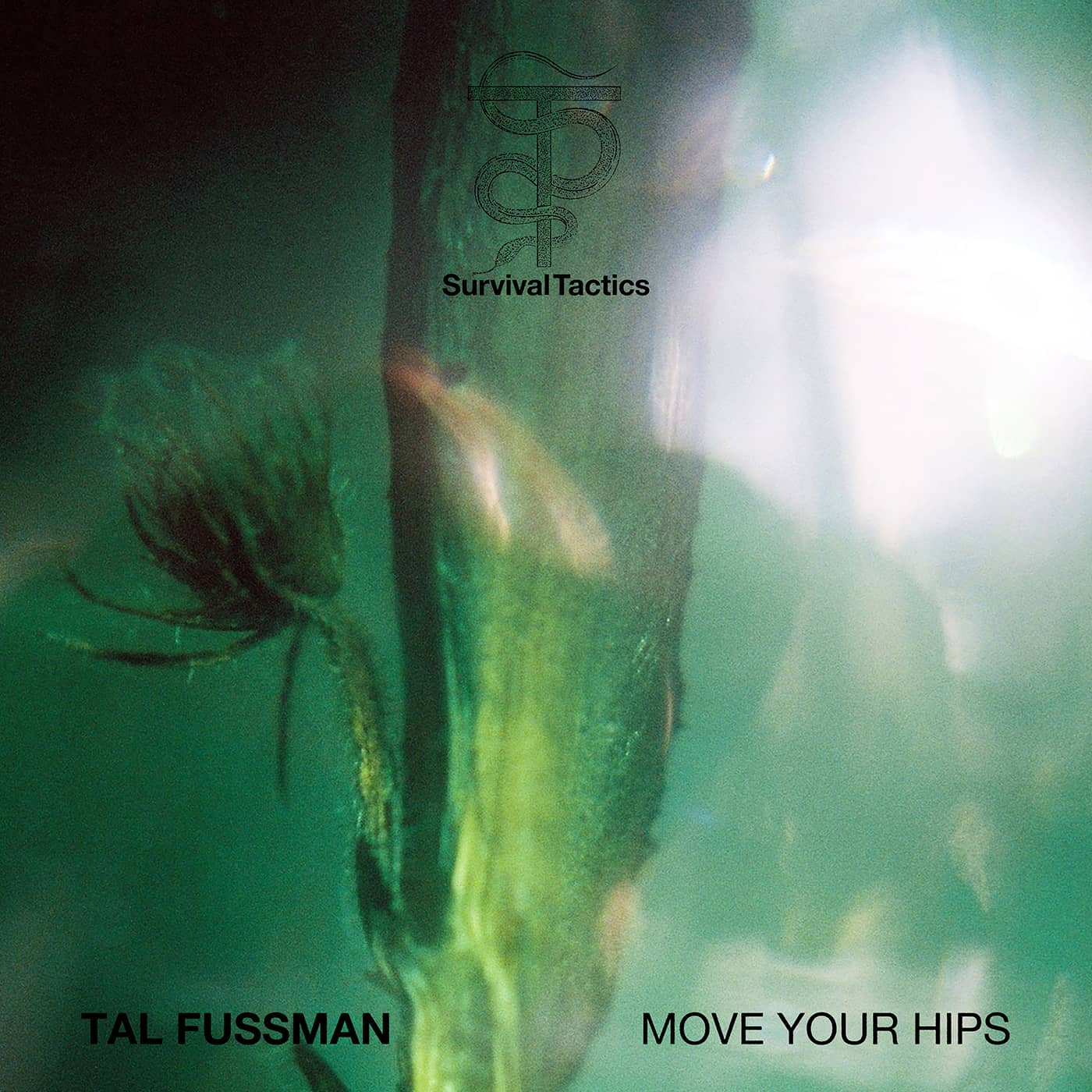 Tal Fussman Move Your Hips — okładka