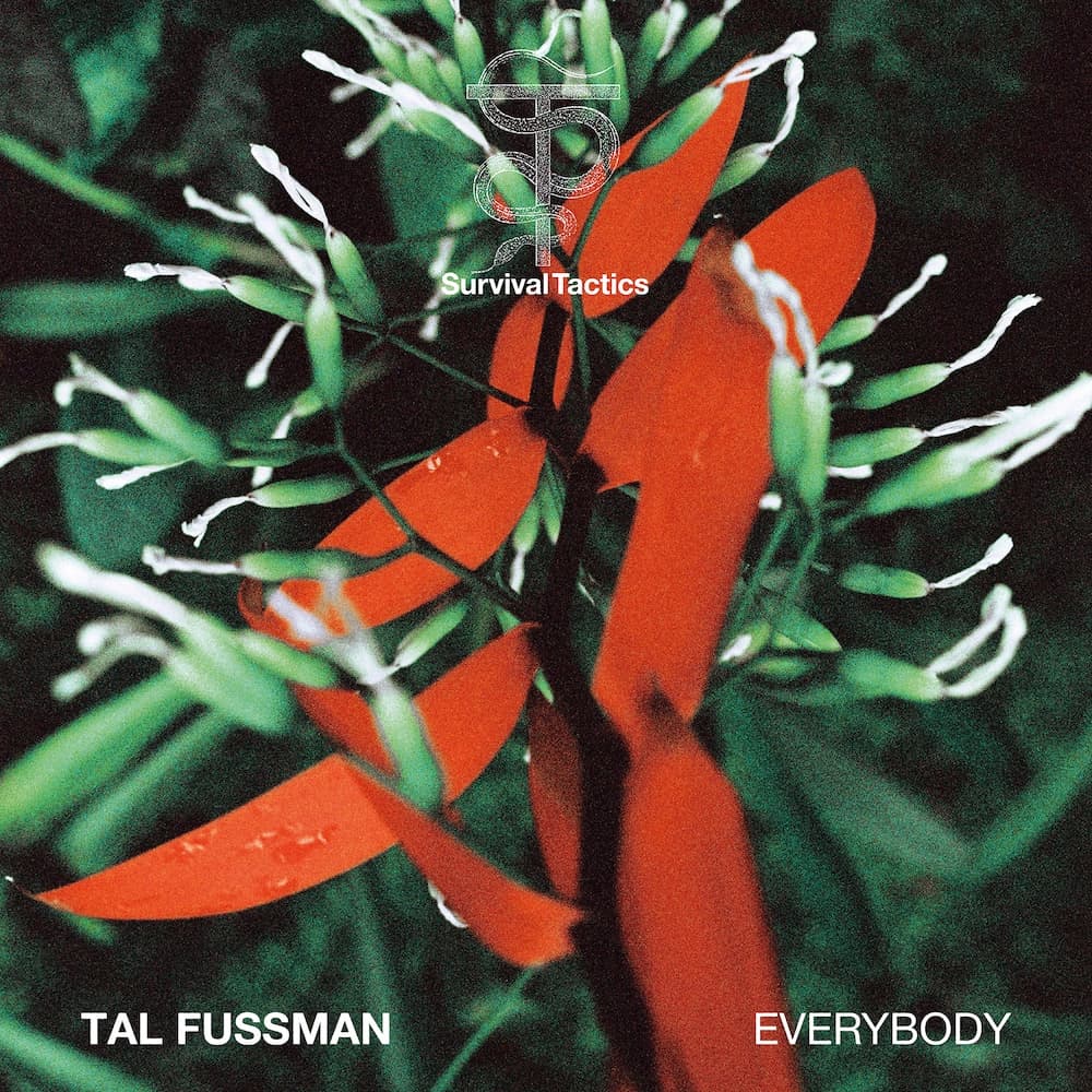 Tal Fussman Everybody — okładka